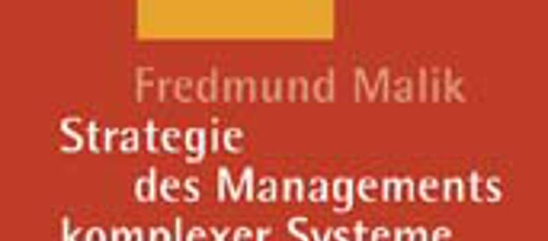 Strategie des Managements komplexer Systeme